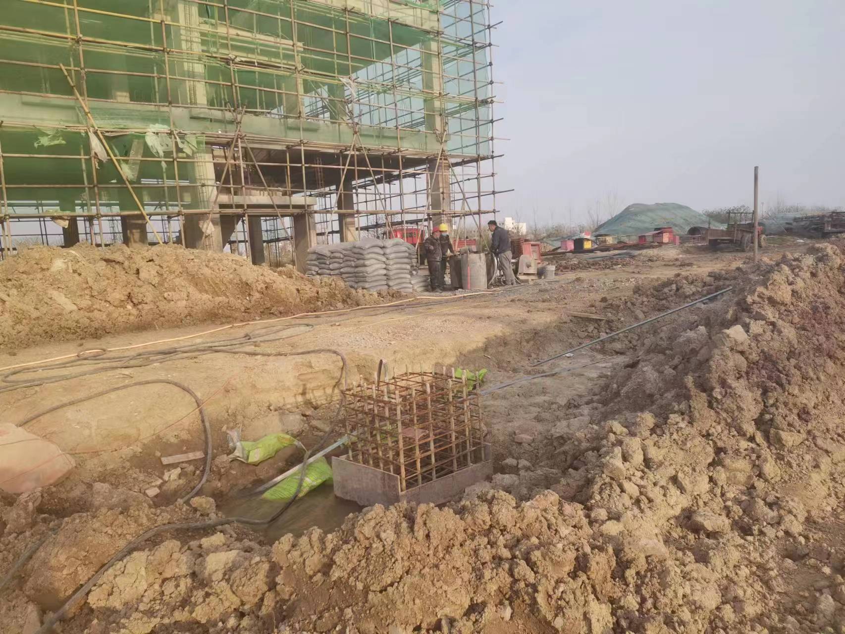 樟树当桥梁出现裂缝的时候应该及时加固修补